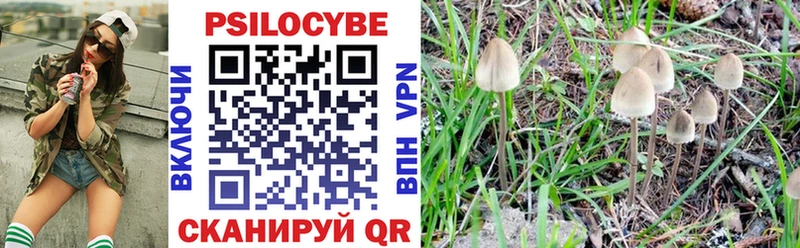 Купить закладки  Петушки  Галлюциногенные грибы прущие грибы 